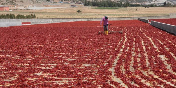 Bakanlık duyurdu: 509 milyon 933 bin lira destekleme ödemesini çiftçilerimizin hesaplarına aktarıyoruz