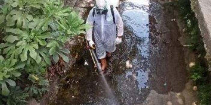 Karadeniz Ereğli Belediyesi, ilaçlama çalışmalarını sürdürüyor