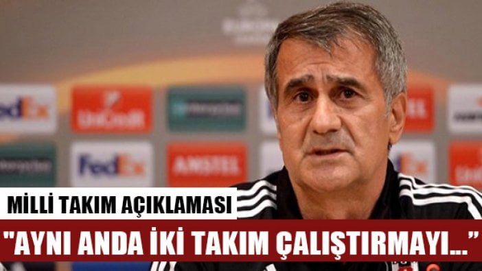 Şenol Güneş'ten Milli Takım açıklaması