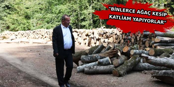 Bolu ve Düzce arasında 'Abant' krizi! Tanju Özcan'dan sert tepki