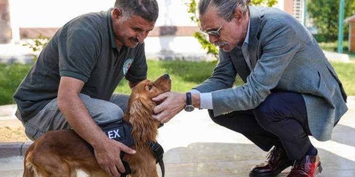 Erdal Beşikçioğlu yaşatmayı seçti! Sokak köpeklerini belediyede görevlendirdi