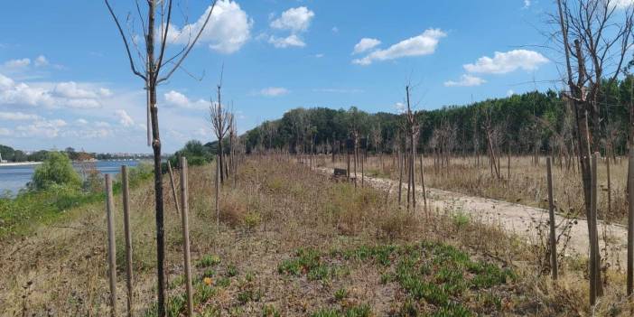 Mahkeme kararına rağmen inşaat durdurulmadı. Millet bahçesi kuruyor