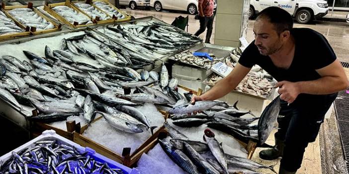 Balık tezgahlarında palamut hamsi ve çinekop bolluğu yaşanıyor