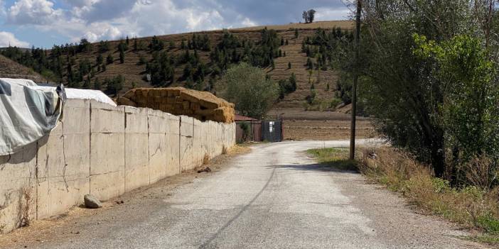 Ankara'da kaza kurşunu can aldı