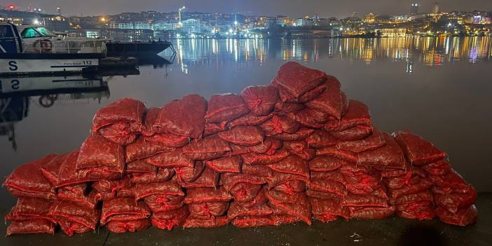 Eminönü'nde kaçak midye avlayan şüpheliye 26 bin lira ceza kesildi