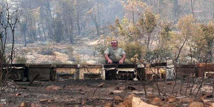 Muğla Büyükşehir Belediyesi’nden yangınlarda etkilenen arıcılara destek