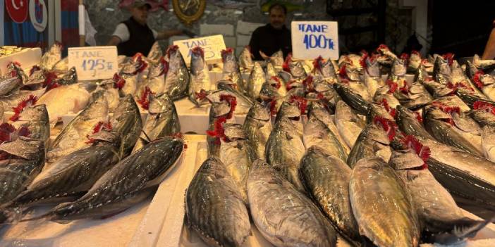 Kastamonu'da palamut akını. İstanbul'a göç başladı