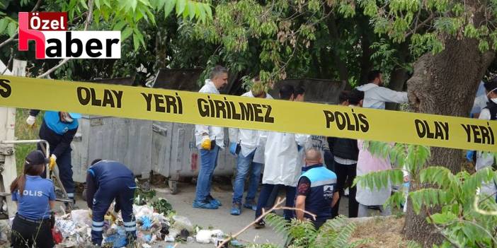 Beykoz'da dehşet. Çöp konteynerinden çıktı