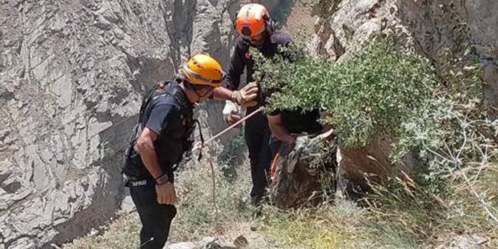 Kayalık alanda mahsur kalan keçi kurtarıldı