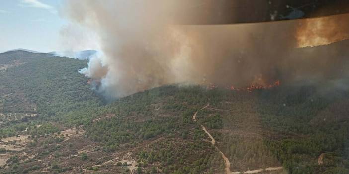 İzmir'de çöplükte çıkan yangın,ormana sıçradı