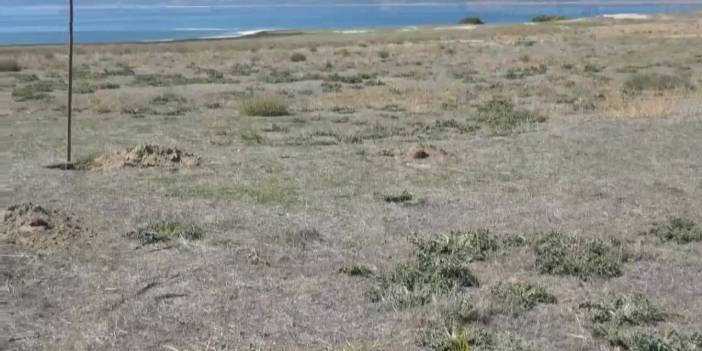 Burdur Gazeteciler Cemiyeti'nden Burdur gölü için farkındalık etkinliği