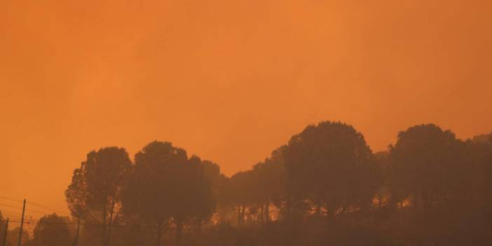 Meteoroloji açıkladı. Türkiye 53 yılın en sıcak 8 ayını yaşadı