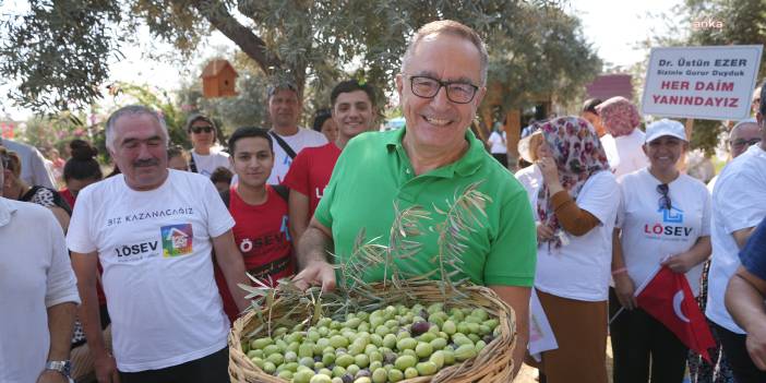 Tarsus'ta lösemili çocuklar için zeytin hasadı coşkusu