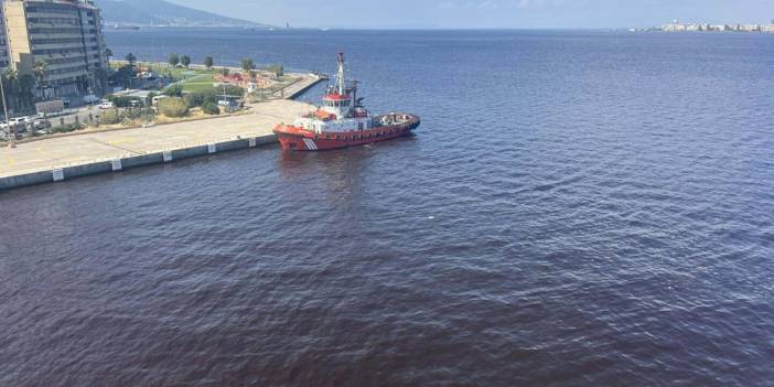 İzmir Körfezi yavaş yavaş ölüyor. Kirlilik deniz tabanını da bozdu