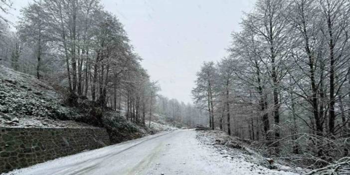 Artvin'de kardan kapanan köy yolları yeniden ulaşıma açıldı