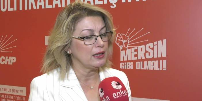 CHP Kadın Kolları Başkanı Asu Kaya: Artık kadınlar daha çok söz sahibi olacak