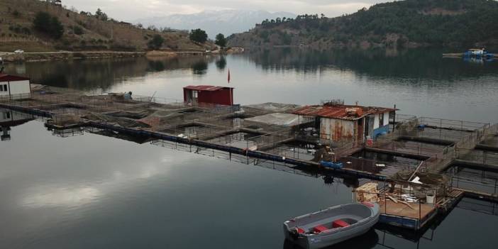 Deprem sonrası toparlanan Kahramanmaraşlı balıkçılar 54 ülkeye balık ihraç etti