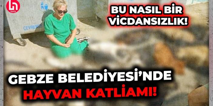 Gebze’de katliam! Onlarca cana kıyanlar vicdanınız rahat mı?!