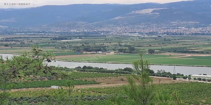 Baba-oğul kayıptılar. Babanın cesedi Sakarya Nehri'nde bulundu