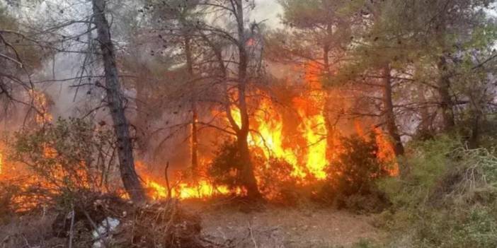 Çanakkale orman yangınının şüphelileri gözaltında