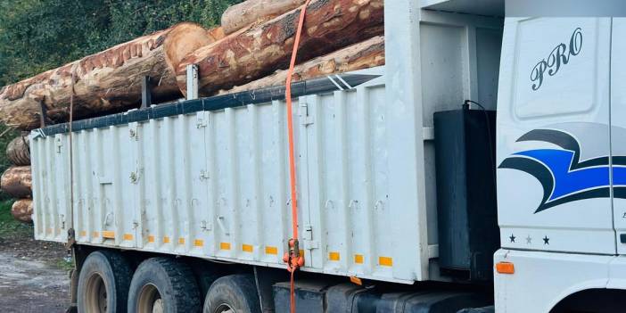 Bolu’da 1000 ağacın kaçak kesildiği iddiasıyla soruşturma