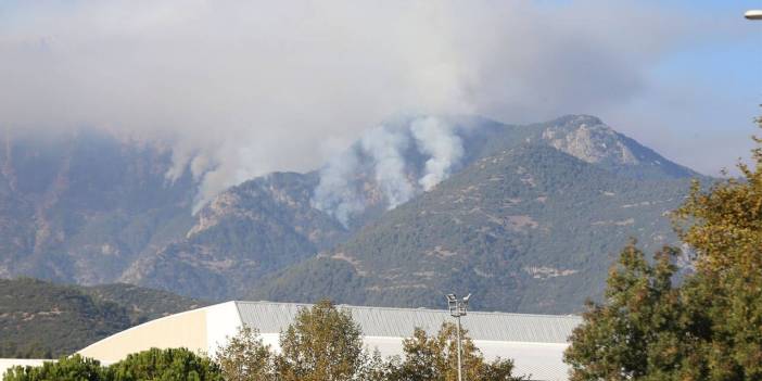 Denizli'de orman yangını 3. gününde. MSB'den açıklama geldi