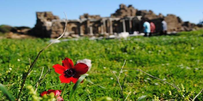 Antalya'da endemik bitkilerin korunması için sürdürülebilirlik projesi başlatıldı