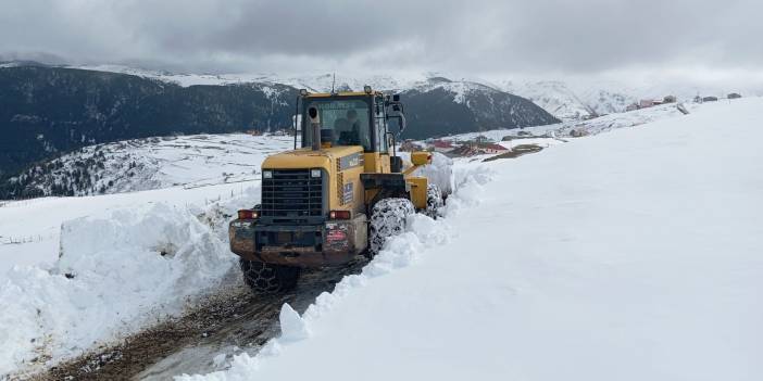 Kar nedeniyle mahalle ve yayla yolları kapandı