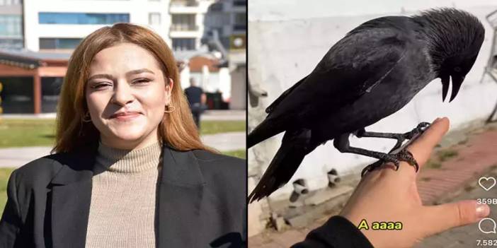 Sosyal medyada viral olan karga paylaşılamıyor