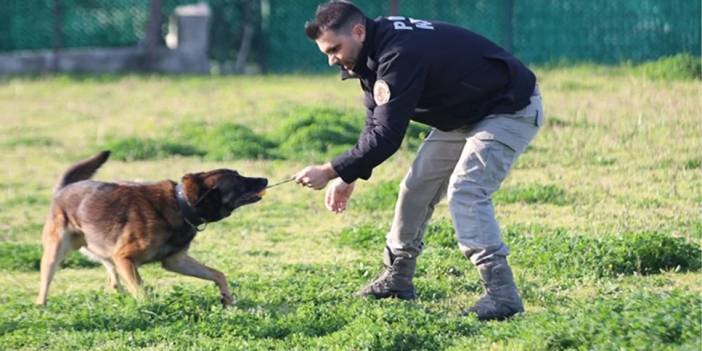 Narkotik köpeği Ares operasyonda yaşamını yitirdi. İstanbul Emniyeti yasa boğuldu