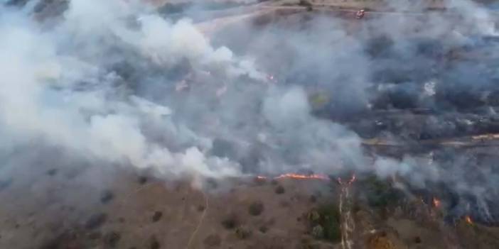 Çanakkale'de orman yangını