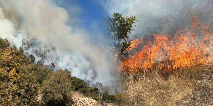 Antalya Kumluca’da orman yangını! Rüzgar alevleri büyüttü