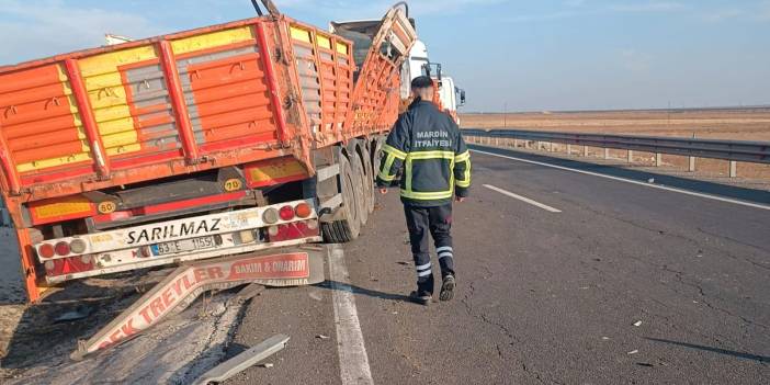 Bariyerlere çarpan TIR’ın dorsesindeki 2 büyükbaş telef oldu