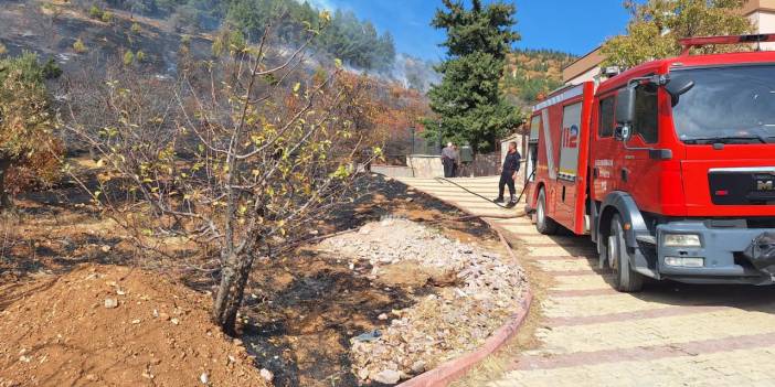 Kahramanmaraş'ta orman yangını