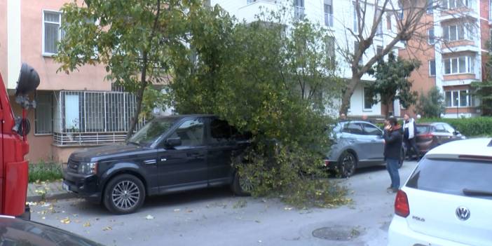 İstanbul'da şiddetli rüzgarın etkisiyle 2 aracın üzerine ağaç devrildi