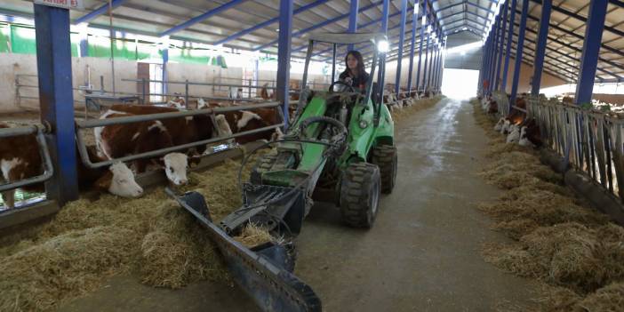 “Sen yapamazsın, bu iş erkek işi” diyenlere inat kurduğu çiftlikte günlük 1,5 ton süt üretiyor