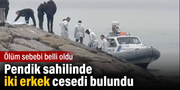 Pendik sahilinde iki erkek cesedi bulundu. Ölüm sebebi belli oldu