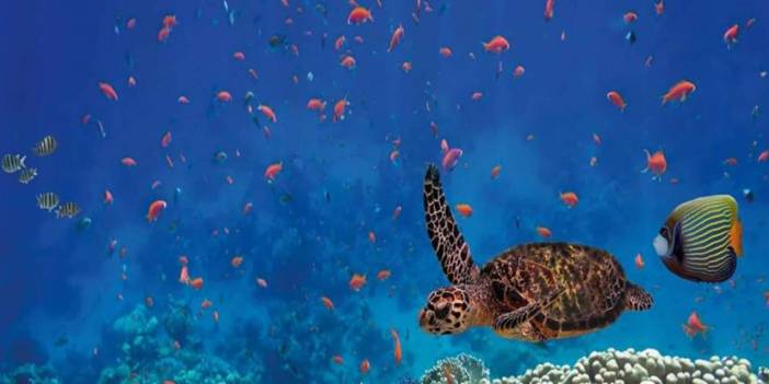 Yahnisini yedikten sonra 3 kişi öldü. 32 kişi zehirlendi