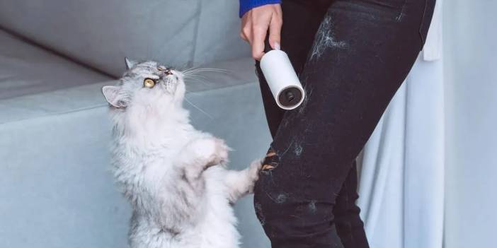 Artık yapışkan ruloya ihtiyacınız olmayacak. Kıyafetlerdeki tüylerden kurtulmak çok kolay