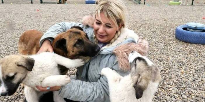 Bağış paralarıyla 65 araç alan köpek velisi tutuklandı