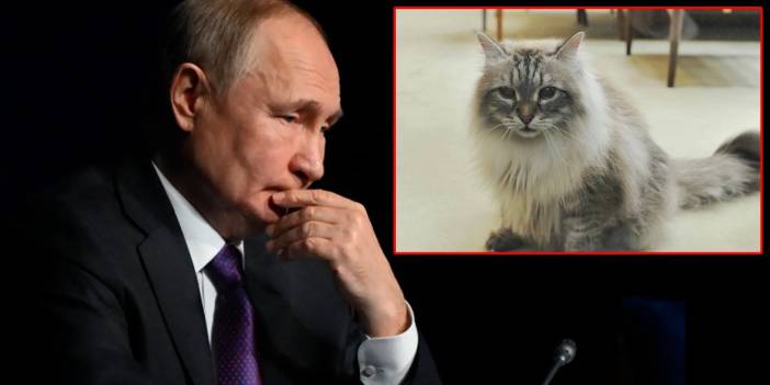 Putin'in hediye ettiği kedi öldü