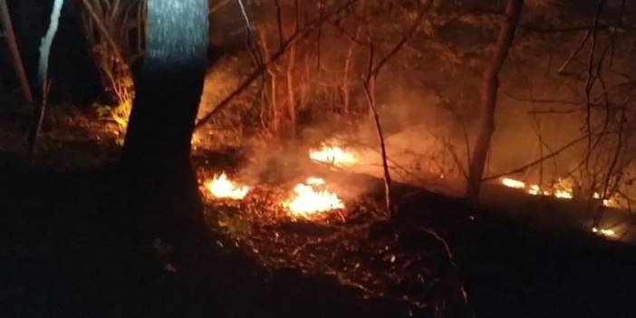 Çin'deki orman yangınında 140'tan fazla kişi tahliye edildi