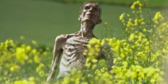 Hollwood yıldızını görenler gözlerine inanamadı