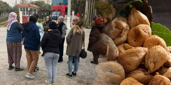 İncir kralı iflas etti. Alacaklılar kapıya dayandı