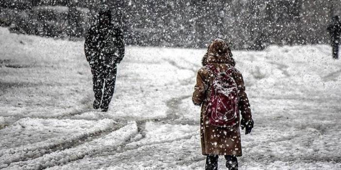 Diyarbakır ve Artvin'de eğitime kar engeli