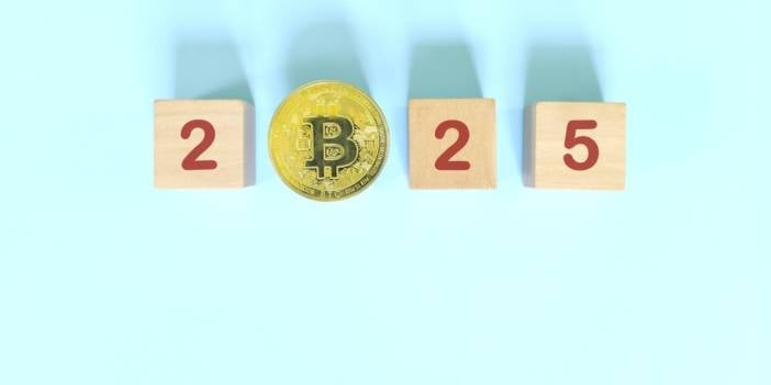 2025’te Bitcoin sahibi ülke sayısı ikiye katlanacak