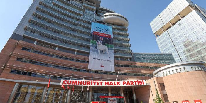 CHP’den belediyelere sokak hayvanları yönetmeliği uyarısı