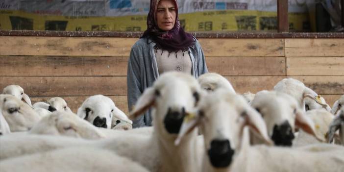 Devlet hibesiyle 20 koyunla başladı. Şimdi hayvan sayısını 400'e çıkardı