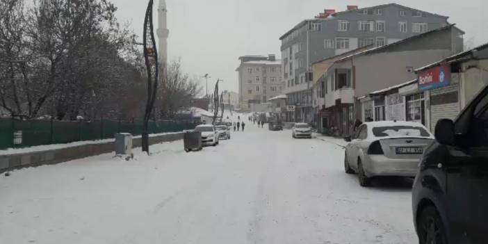 Karlıova'da kar yağışı etkili oldu