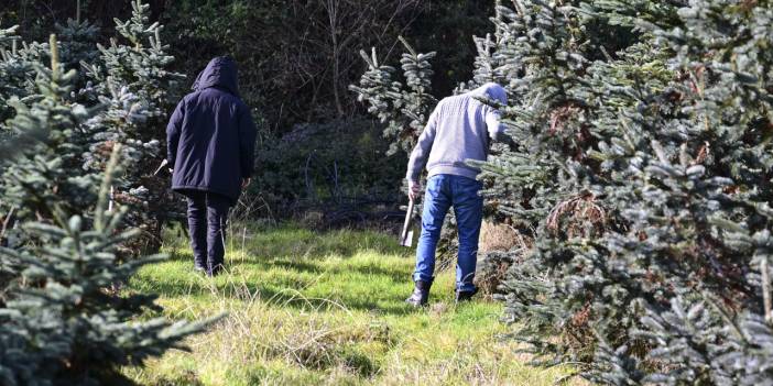 Bakanlık tüm izinleri kaldırdı: Tüm personel yılbaşı ağacı nöbetinde